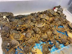 -集品鲜湾·蒸汽海鲜自助料理(青岛银座和谐广场店)