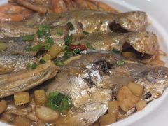 -阿英煲.煲烧江南菜(凉城路店)