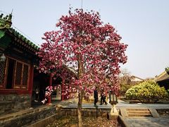 -恭王府博物馆