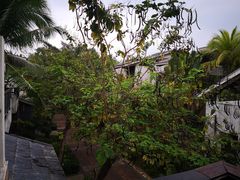 -三亚珠江南田温泉度假区