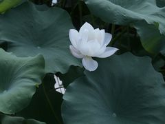 -龙头寺公园