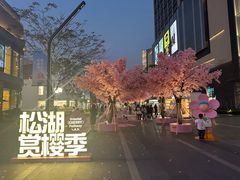 -东莞松山湖万象汇