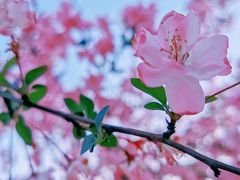 -同济大学(嘉定校区)