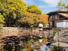 -观唐（国际）度假村温泉