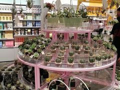 -KKV(深圳宏发大仟里店)