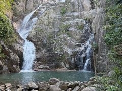 -霸王岭国家森林公园