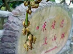 -牛鱼嘴原始生态风景区