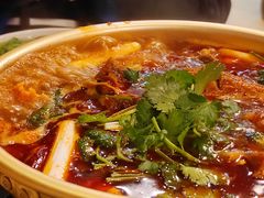 -伊兰麒兰馨园·川菜·清真馆(339电视塔店)