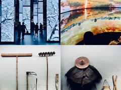 -中国湿地博物馆