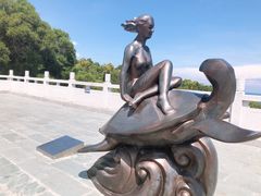 -广东惠东海龟国家级自然保护区