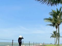 -野狸岛