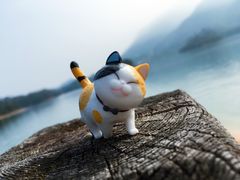 -广州市流溪河国家森林公园