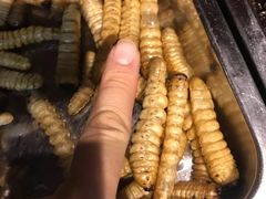 -昆虫窝子·特色云南菜(拓东路总店)
