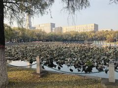 -哈尔滨师范大学(松北校区)