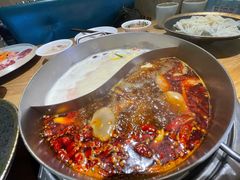 -青瓷火锅料理(西单大悦城店)