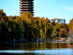 -北京大学东门(地铁站)
