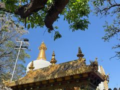 -护国法轮寺