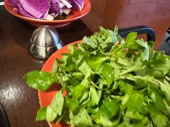 -滇野云南野生菌餐厅(陕西南路店)