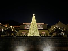 -宁波柏悦酒店·钱湖渔港