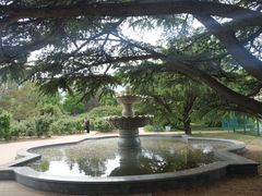 -国家植物园南园