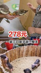 -七巧国萌宠乐园(龙湖天街店)