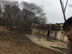 -南昌动物园