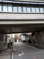 -首都医科大学附属北京儿童医院