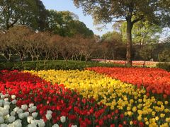 -上海鲜花港