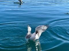 -丽江泸沽湖景区