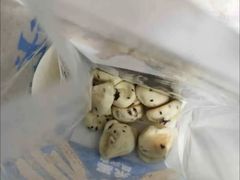 -墨茉点心局(国金街店)