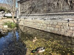 -春风习习