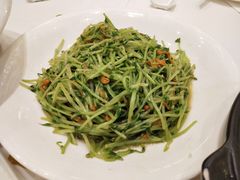 虫草花炒碧绿苗-御彩酒家(东风东路店)