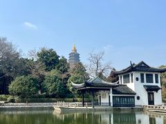 -红梅公园