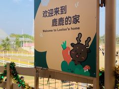 -盈香心动乐园