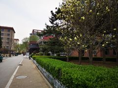 -中国政法大学(昌平校区)