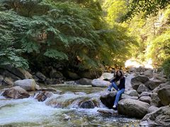 -青峰峡国家森林公园