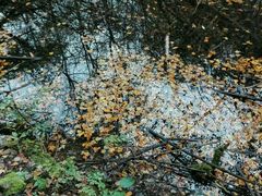 -叠溪松坪沟景区