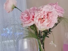 -Tomacado花厨(One ITC店)