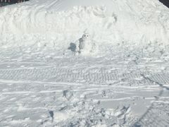 -太子岭滑雪场