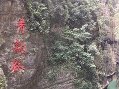 -阿依河景区