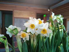 -那家山城(樱桃园店)