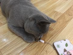 -壹人壹像工作室(购物公园店)