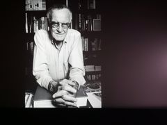 -天幕新彩云国际影城(激光巨幕店)