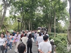 -西湖外事游船(花港观鱼码头)