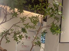 -大榕树下顺德菜(融创茂店)
