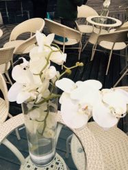 -苏州太湖国际会议中心·香山酒店·宴会厅