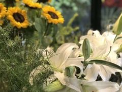 -西西弗书店&矢量咖啡(凯德晶萃广场店)