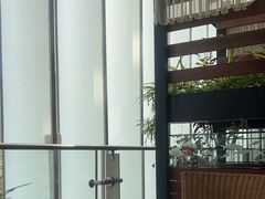 -观海海鲜(蛇口广场店)