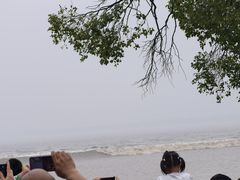 -观潮胜地公园