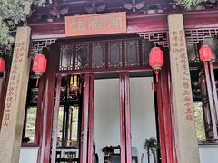 -香雪海